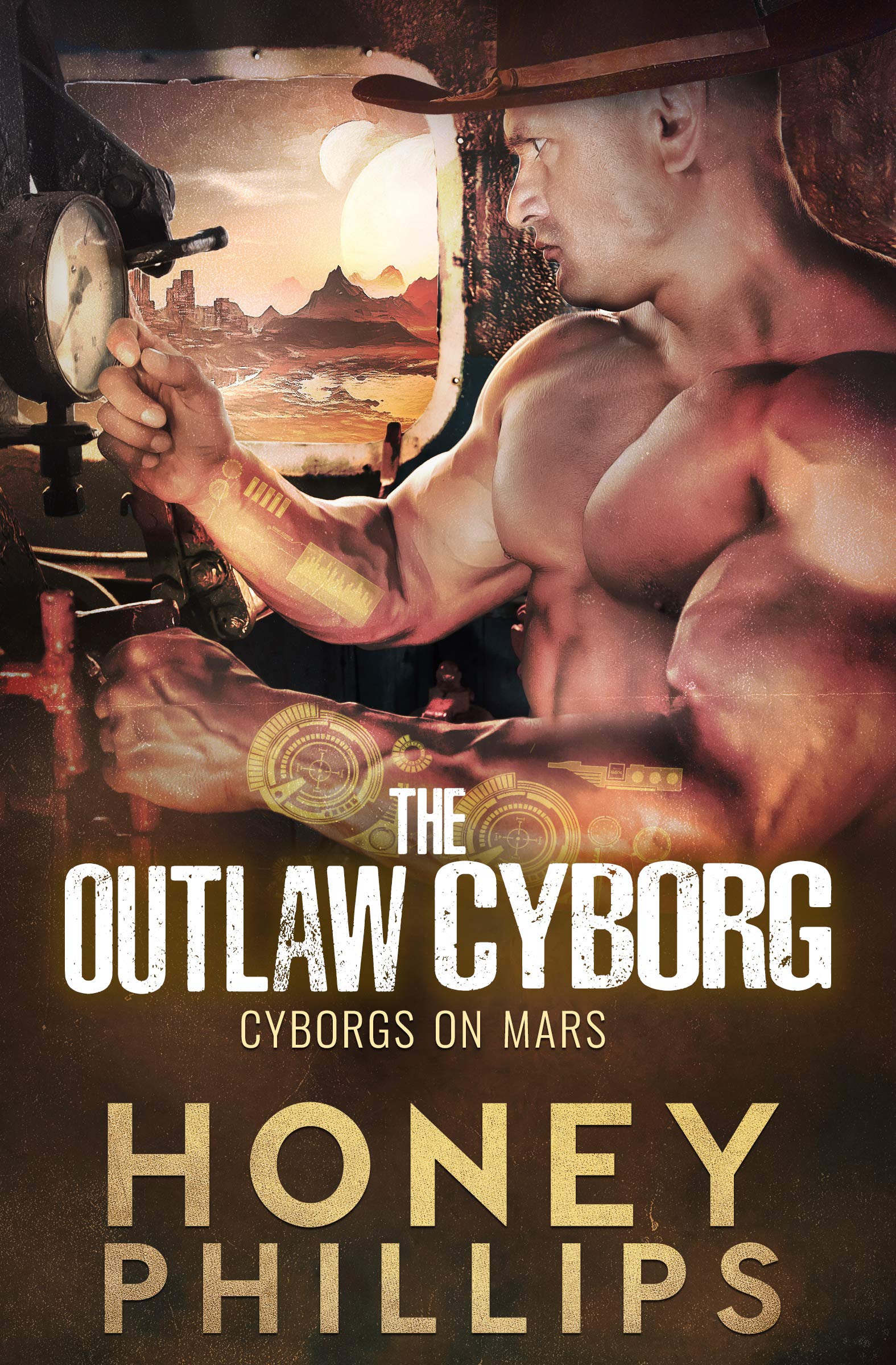 The Outlaw Cyborg book cover