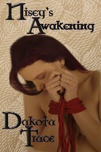 Doms of Chicago book cover 1