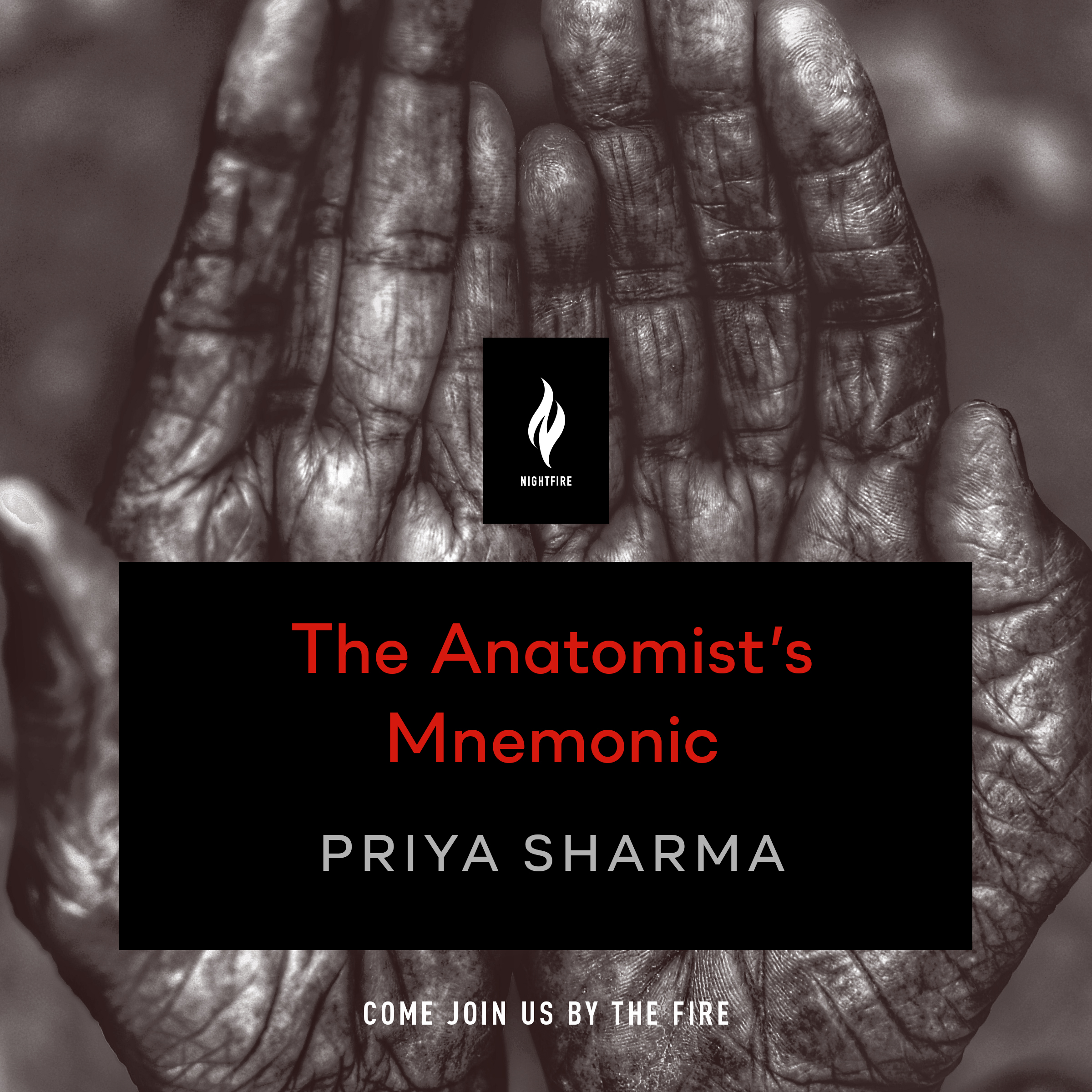 The Anatomist's Mnemonic book cover