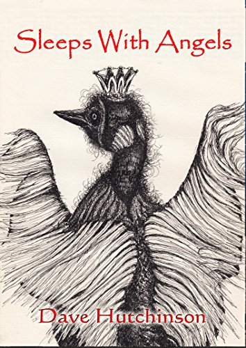 Sleeps With Angels book cover