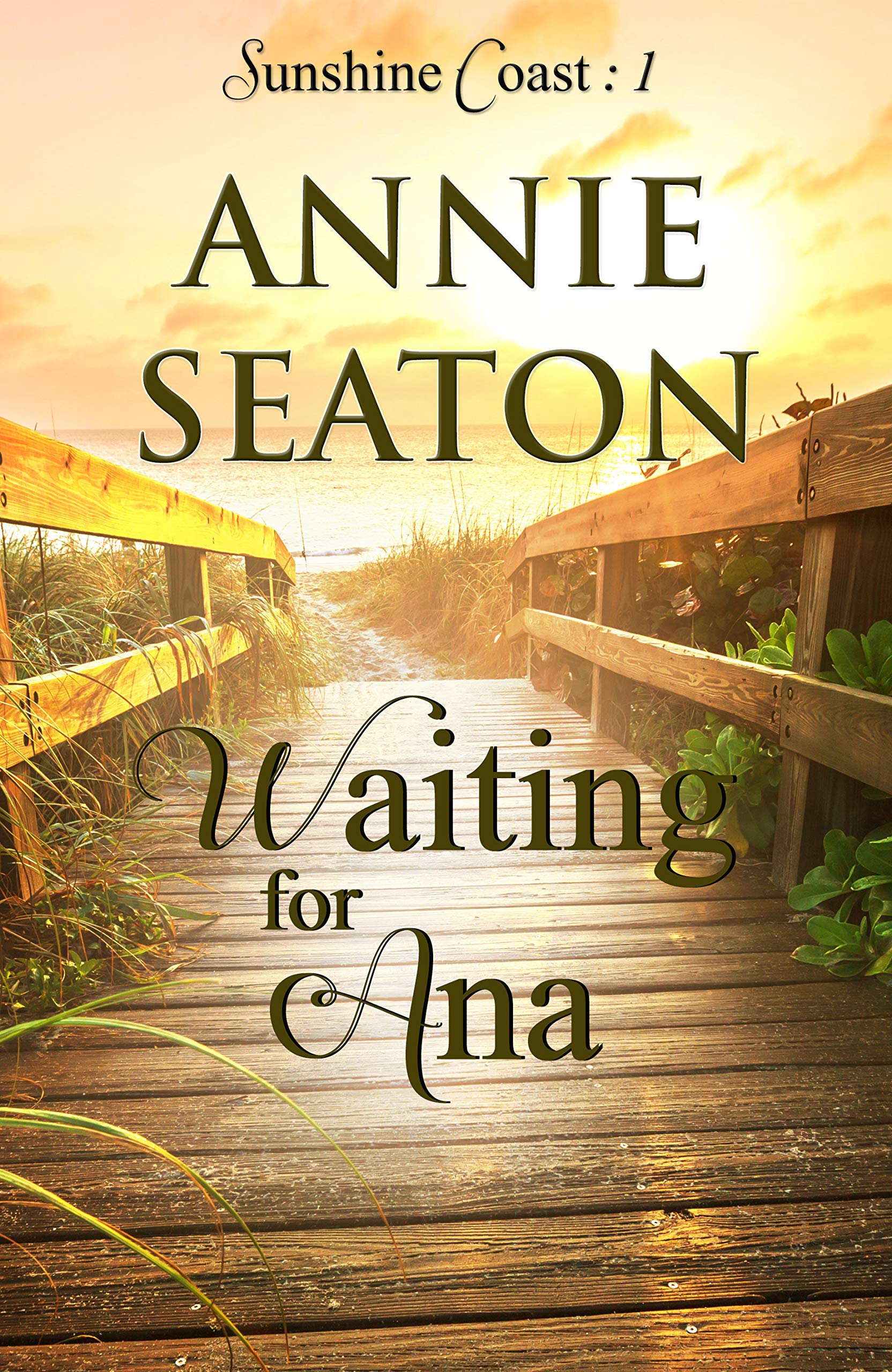 Sunshine Coast book cover 1