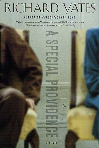 A Special Providence book cover