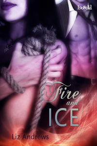 Fire and Ice book cover