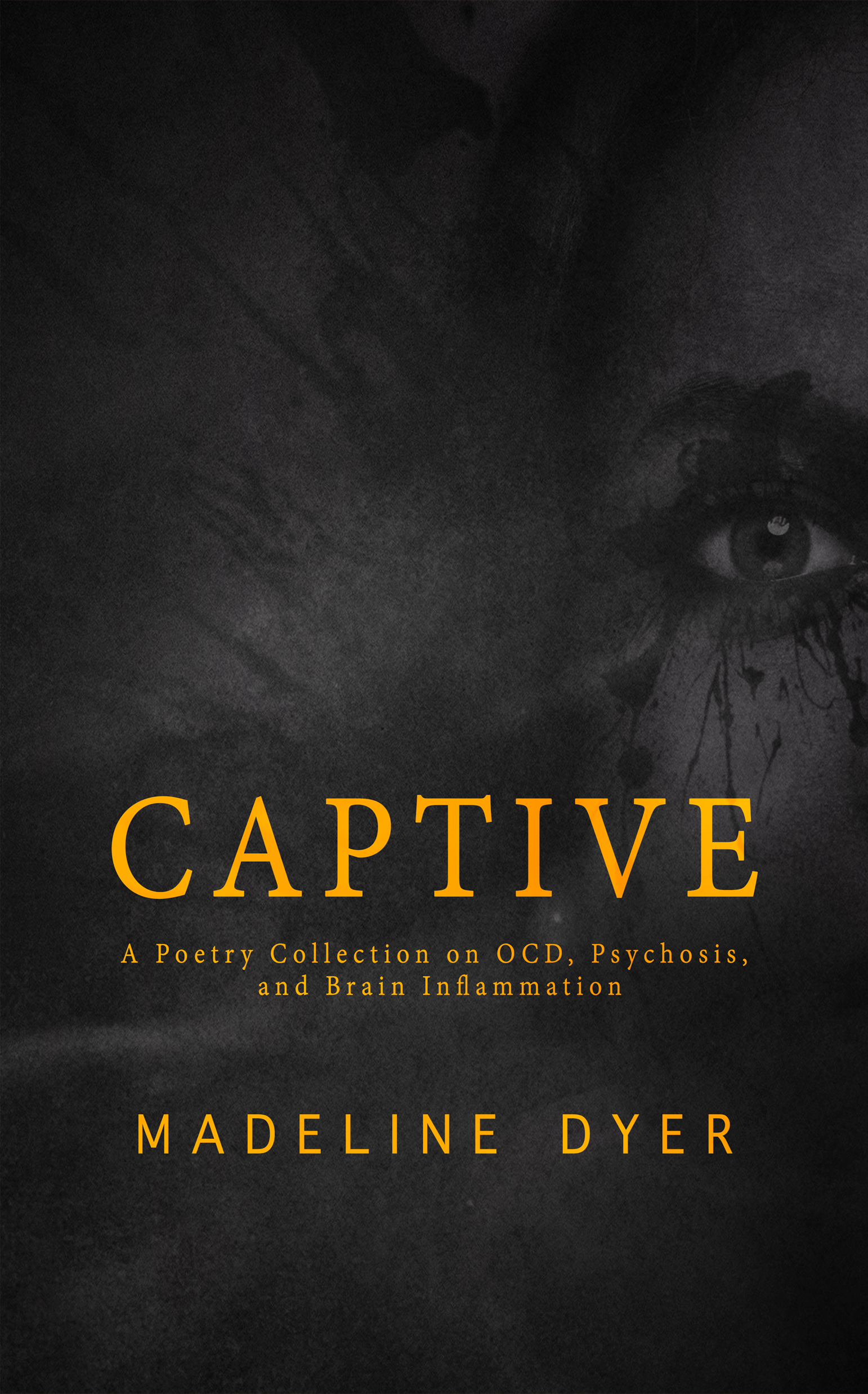 Captive book cover