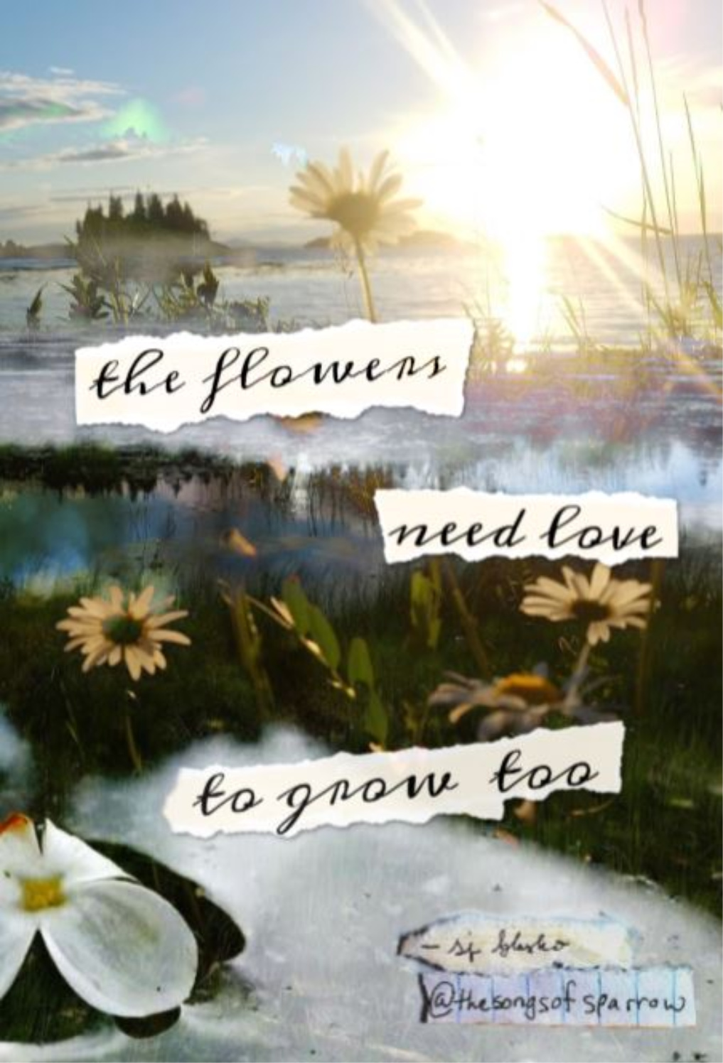 The Flowers Need Love to Grow Too book cover