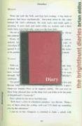 The Brightfount Diaries book cover