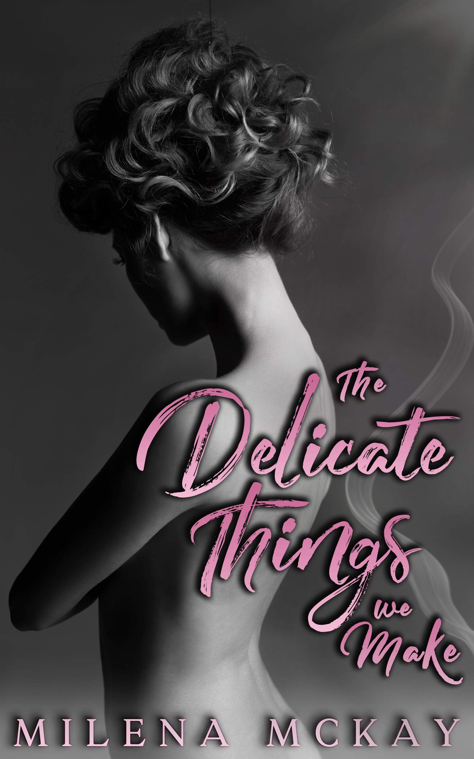The Delicate Things We Make book cover
