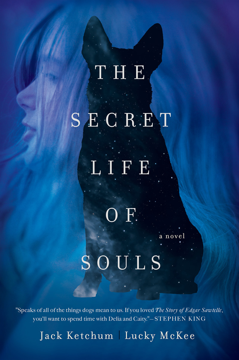 The Secret Life of Souls book cover