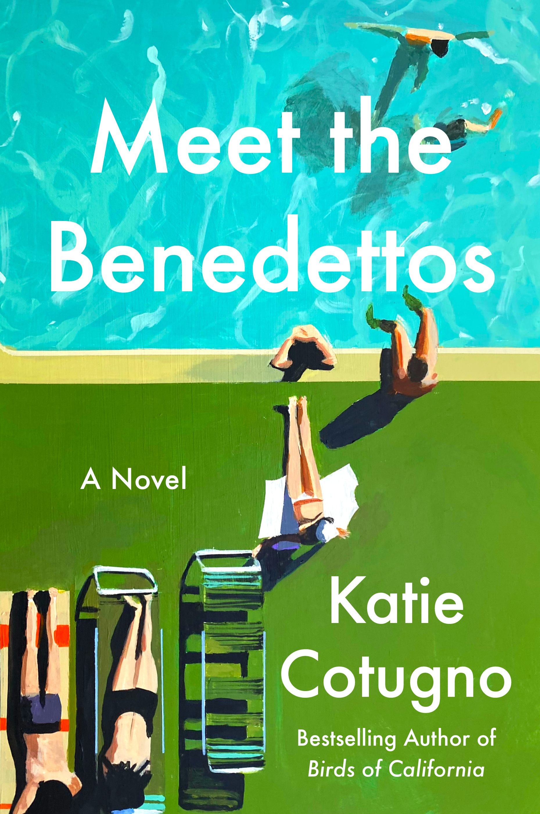 Meet the Benedettos book cover
