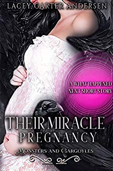 Their Miracle Pregnancy book cover