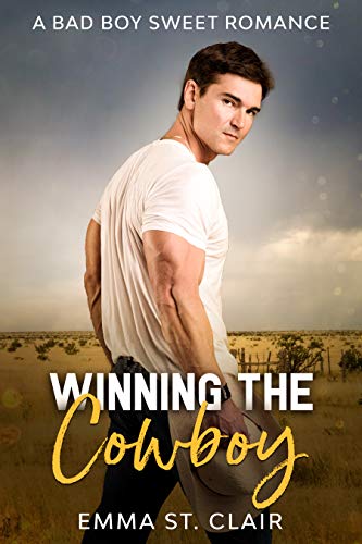 Hometown Heartthrobs book cover 3