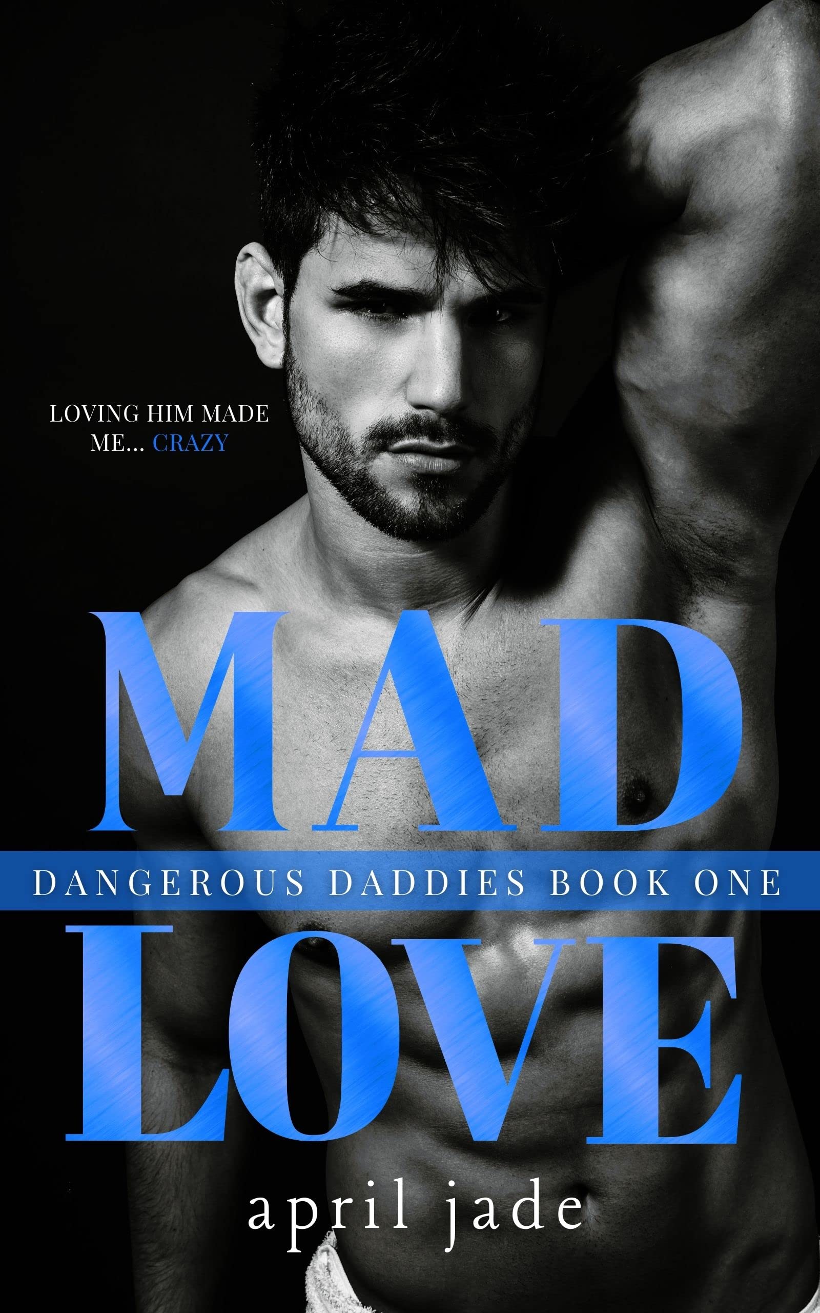 Dangerous Daddies book cover 1