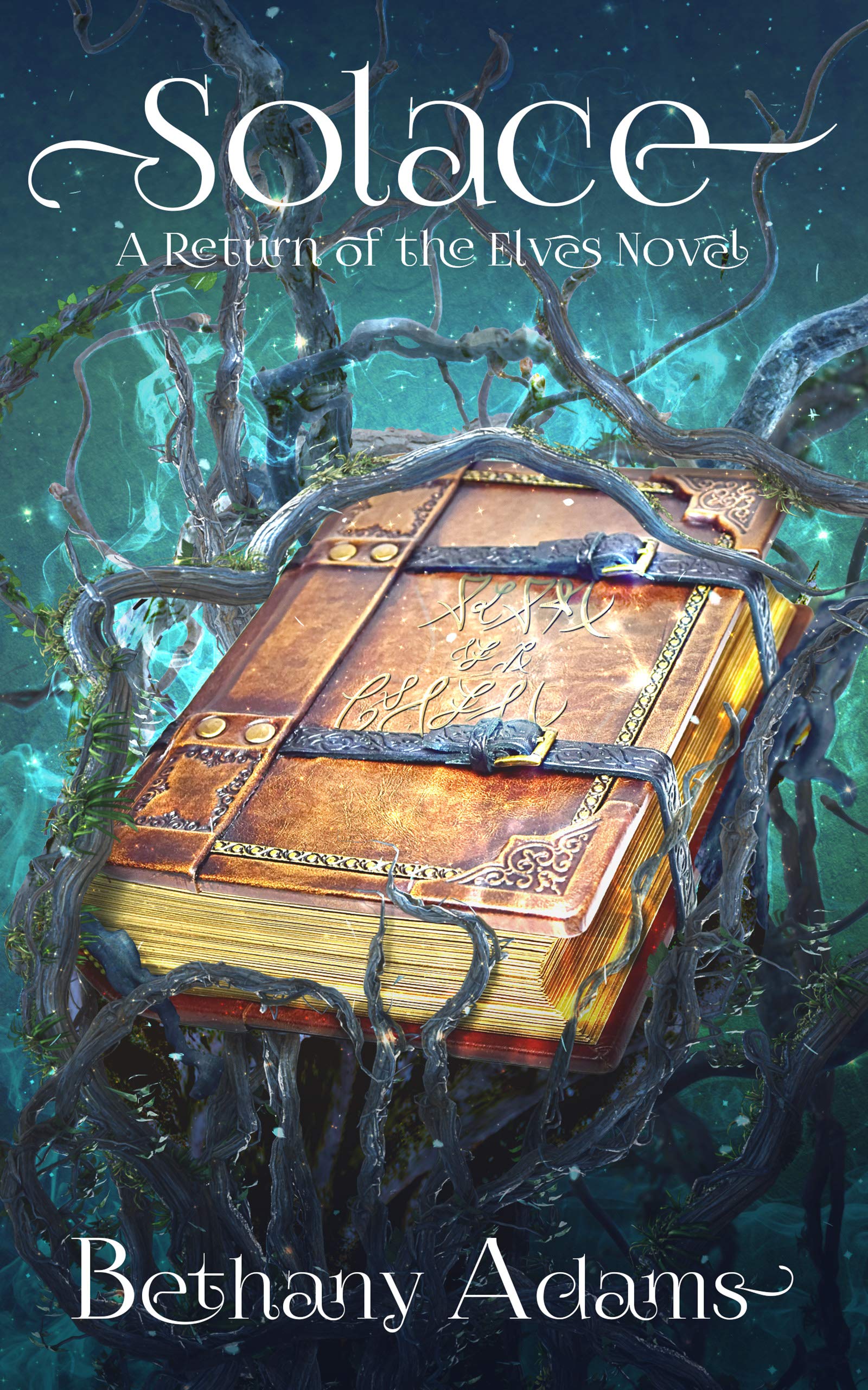 Solace book cover