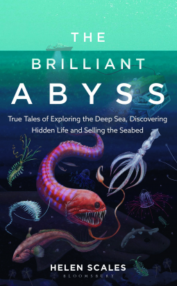 The Brilliant Abyss book cover