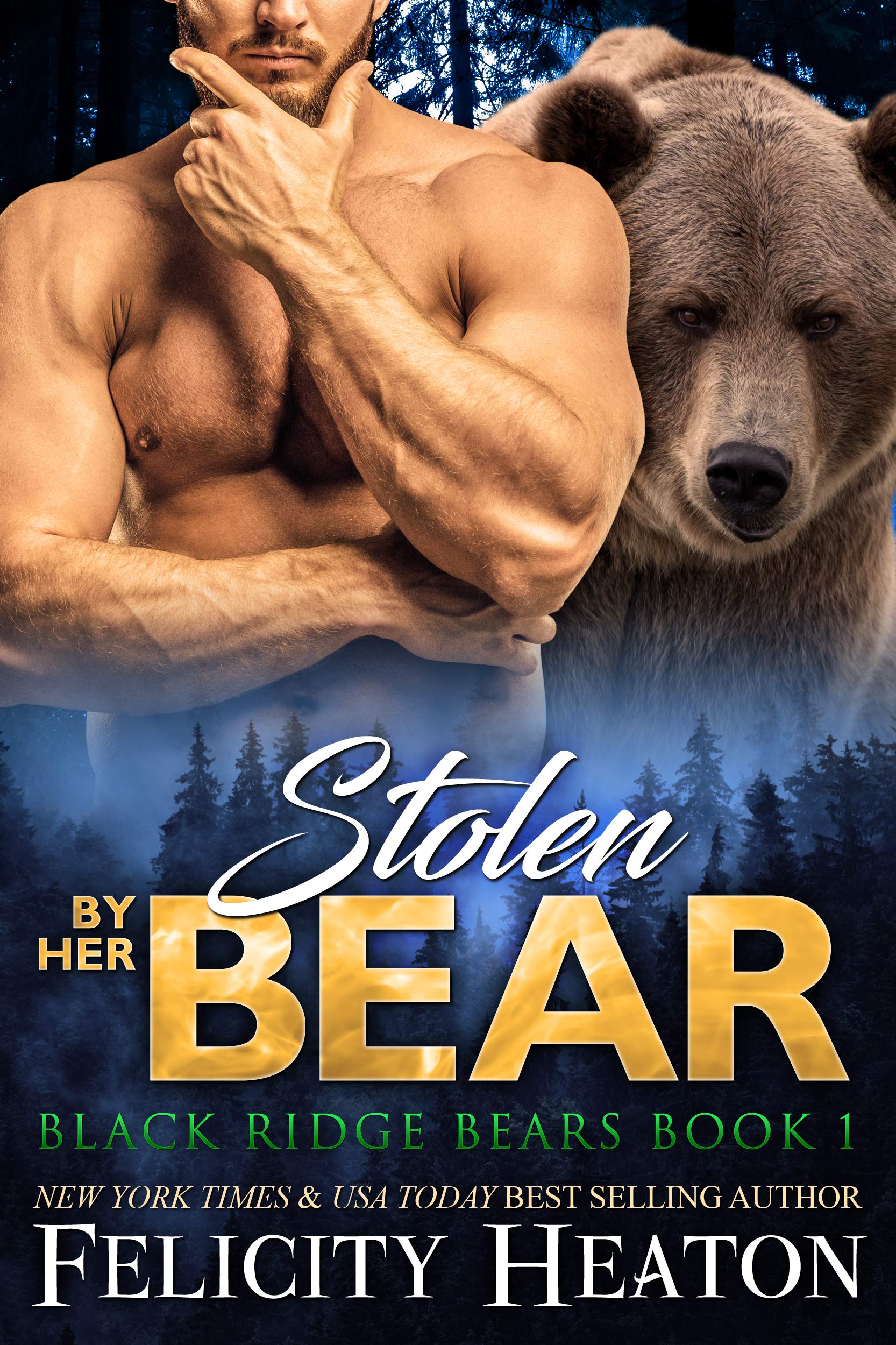 Black Ridge Bears book cover 1