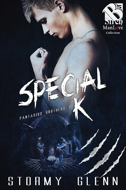 Pantarius Brothers book cover 2