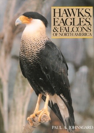 Hawks, Eagles, & Falcons of North America book cover