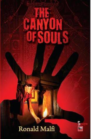 The Canyon of Souls book cover