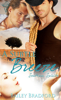 Southern Spirits book cover 1