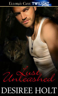 Night Seekers book cover 1