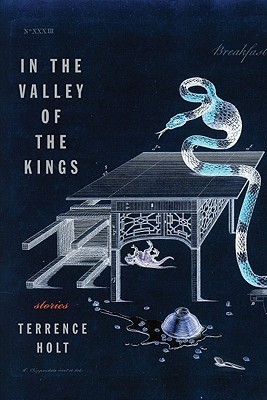In the Valley of the Kings book cover