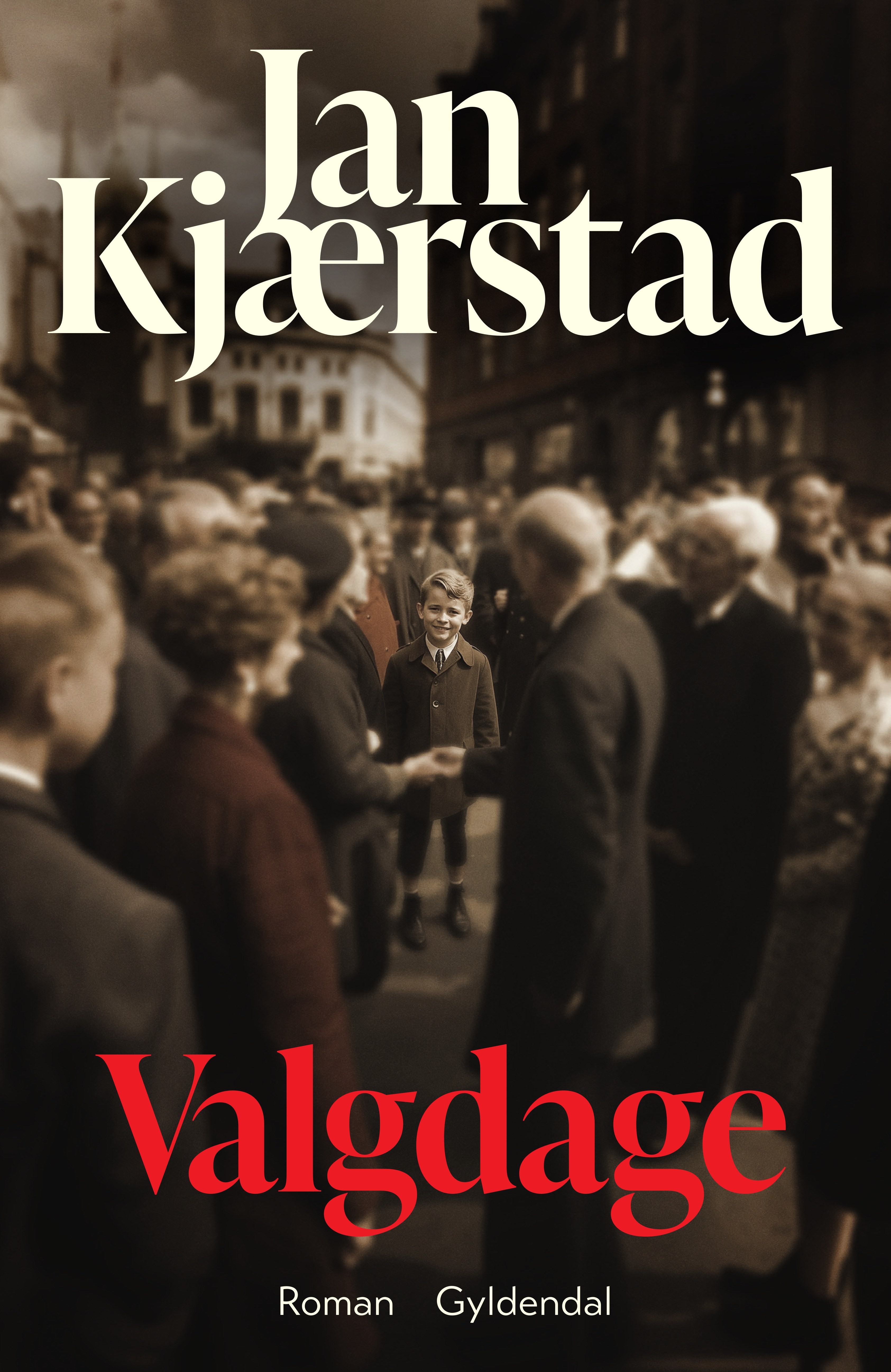 Valgdage book cover