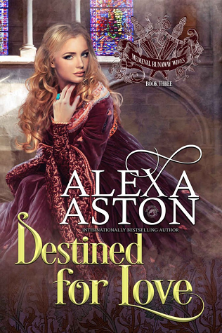 Destined for Love book cover