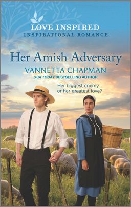 Indiana Amish Market book cover 2