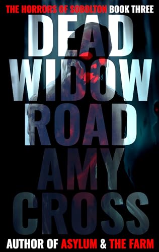 Dead Widow Road book cover
