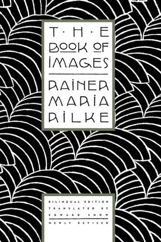 The Book of Images book cover