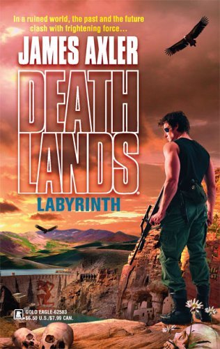 Labyrinth book cover