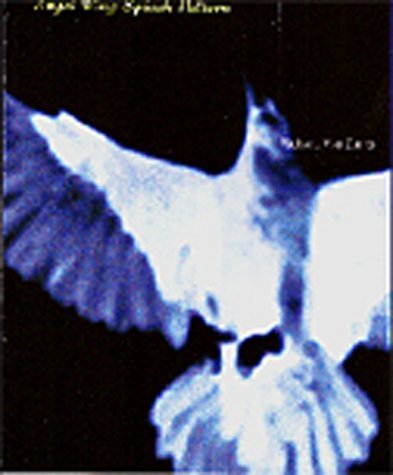 Angel Wing Splash Pattern book cover