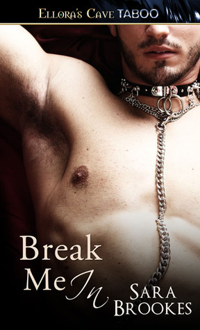 Geek Kink book cover 3