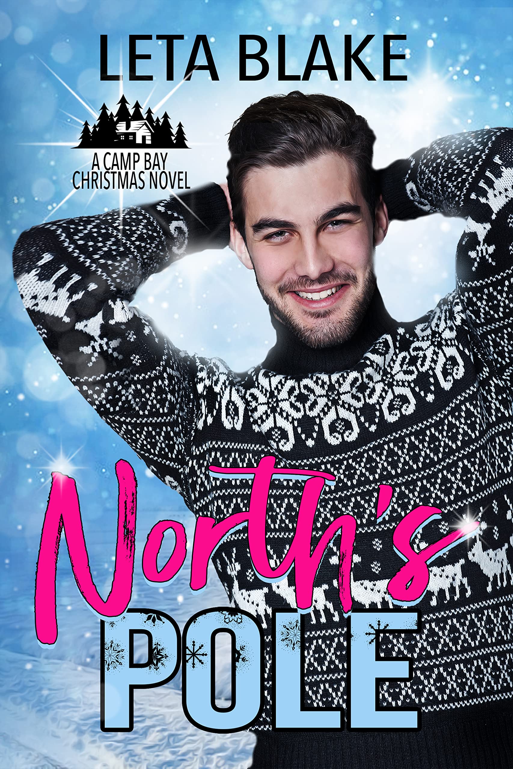 North's Pole book cover