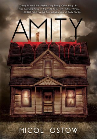 Amity book cover