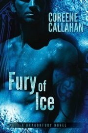 Dragonfury book cover 2