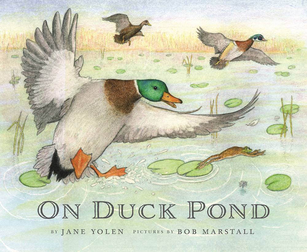 On Bird Hill and Beyond book cover 2