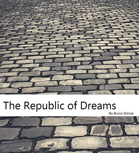 The Republic of Dreams book cover