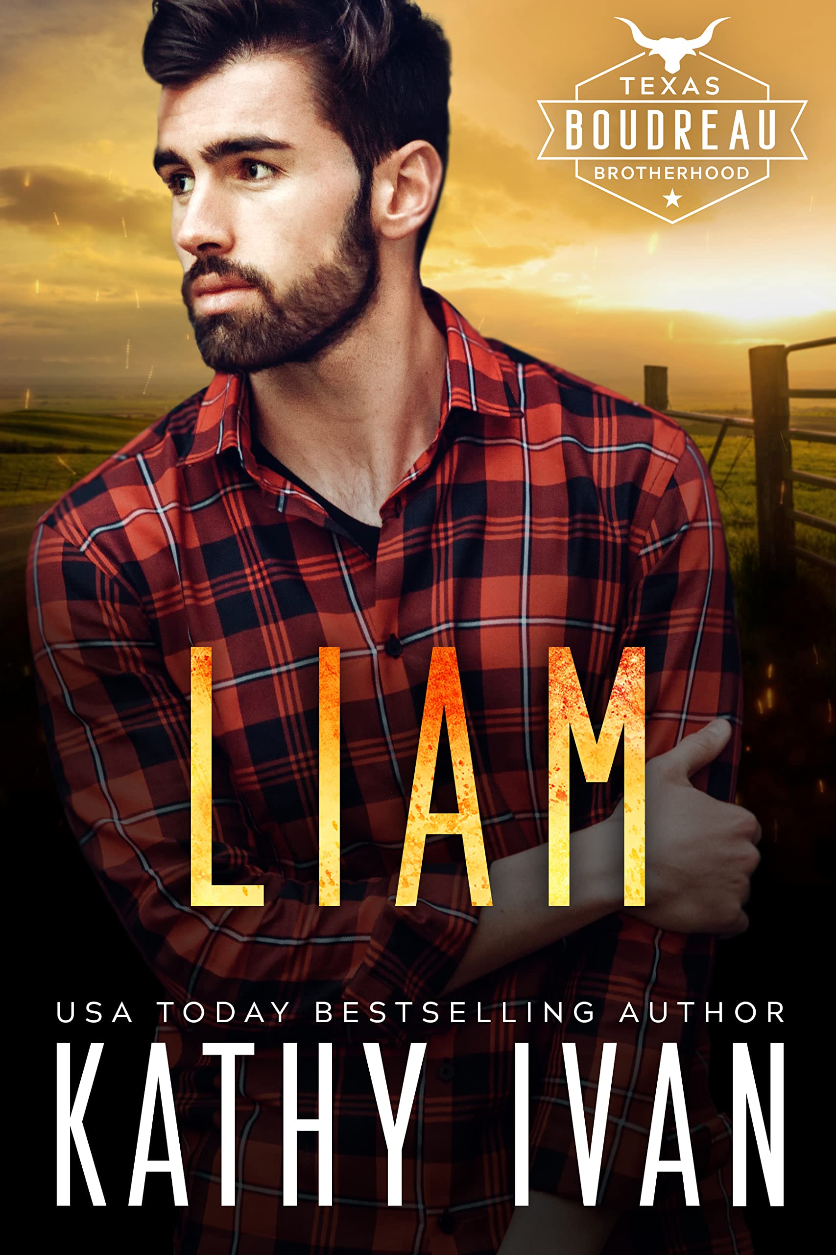 Liam book cover