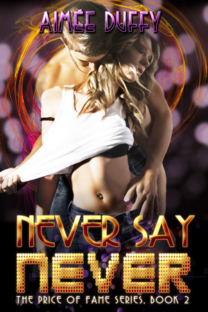The Price of Fame book cover 2