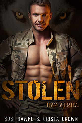 Stolen book cover