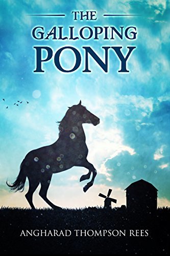 Magical Adventures & Pony Tales book cover 2
