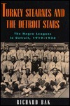 Turkey Stearnes and the Detroit Stars book cover