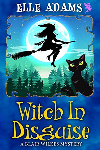 Witch in Disguise book cover