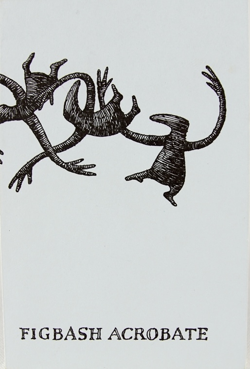 Figbash Acrobate book cover