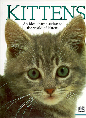 Kittens book cover