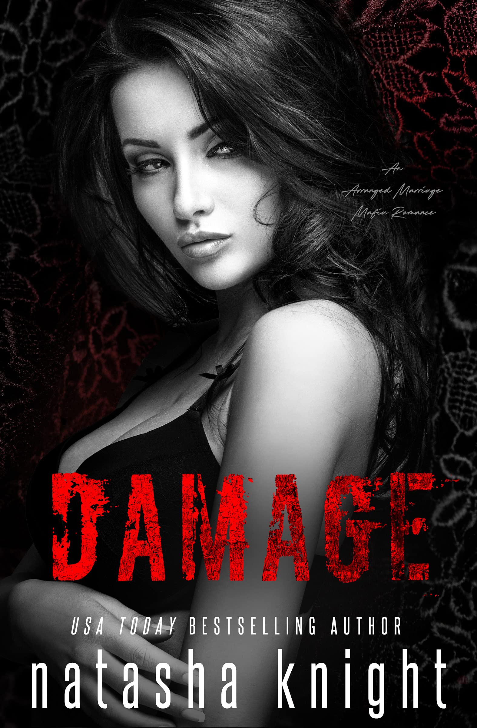 Collateral Damage book cover 2