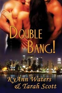 Double Bang! book cover