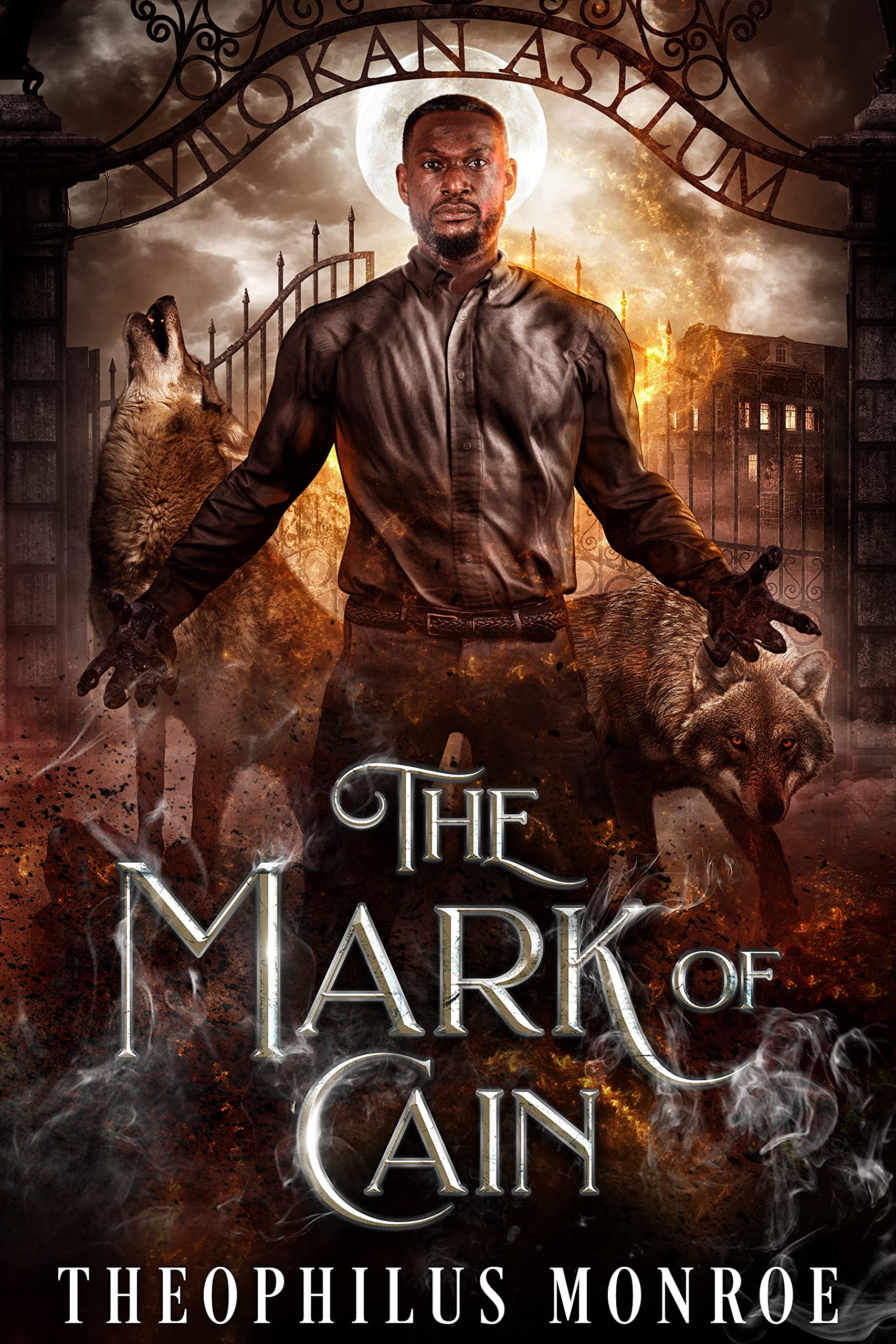 The Vilokan Asylum of the Magically and Mentally Deranged book cover 2