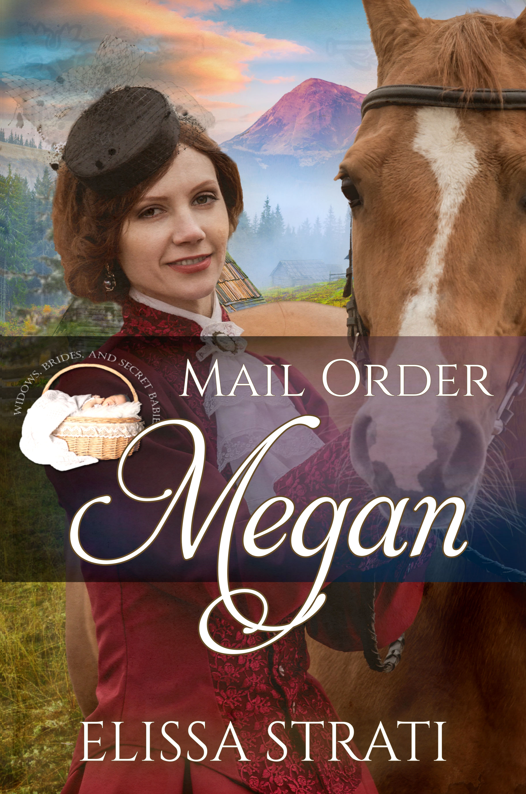 Mail Order Megan book cover